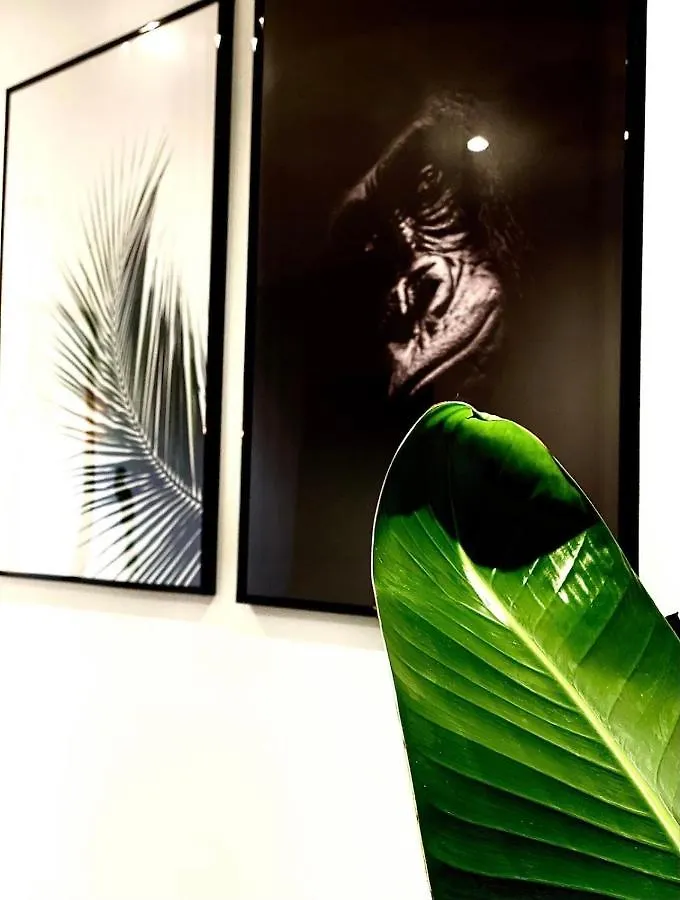 Appartement Jungle garage privé netflix à Saint-Etienne  France