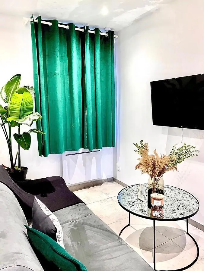 Appartement Jungle garage privé netflix à Saint-Etienne  Saint-Etienne (Loire)